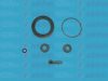 AUTOFREN SEINSA D4345 Repair Kit, brake caliper